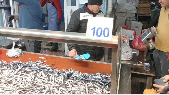 BOLU'DA HAMSİ FİYATLARI TEPKİ İLE KARŞILANDI