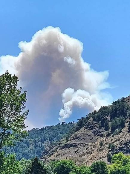 MUDURNU GÖYNÜK ARASINDA ORMAN YANGINI BAŞLADI 